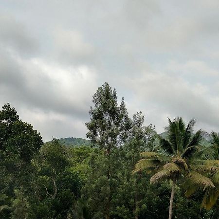Floral Homestay เทกคาดี ภายนอก รูปภาพ