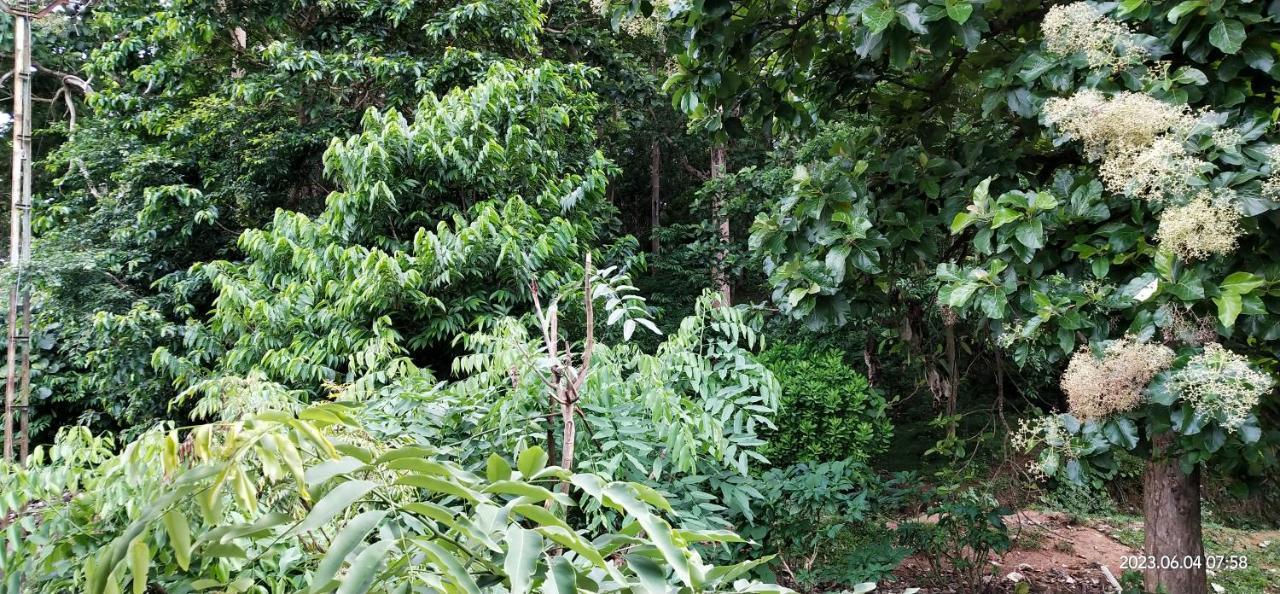 Floral Homestay เทกคาดี ภายนอก รูปภาพ
