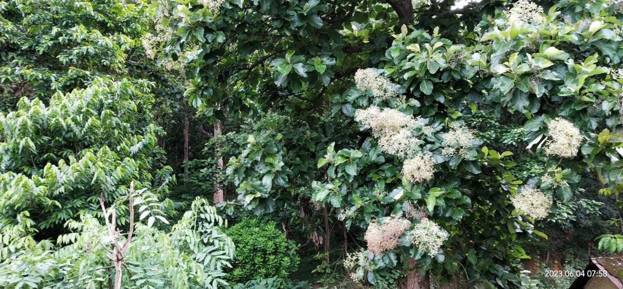 Floral Homestay เทกคาดี ภายนอก รูปภาพ